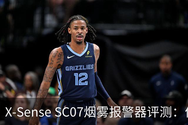 X-Sense SC07烟雾报警器评测：价格亲民，十年长效电池，无需联网